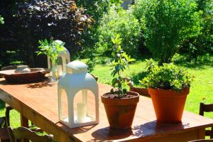 Maisons de vacances Domaine Charente - Cottage Charente : photos des chambres