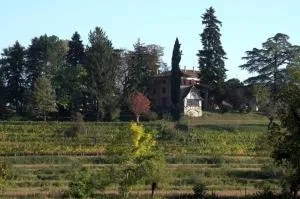 Casali del Picchio - Winery - Dolegna del Collio