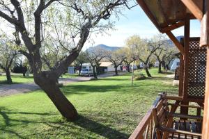 Bungalow (5 Adults) room in Camping Castillo de Loarre