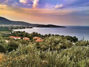 Athina EcoFarm Argolida Greece