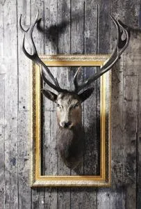 Landhotel Hirsch - ديتمانسريد