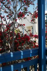 Pigasos Studios Naxos Greece