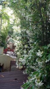 Appartements Cielito Lindo : photos des chambres