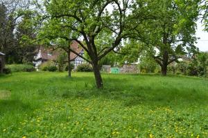 Maisons de vacances Ferienidyll Cleebourg : photos des chambres