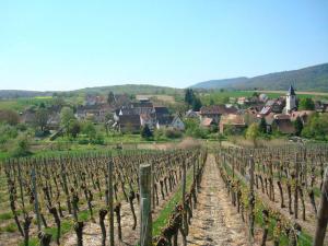 Maisons de vacances Ferienidyll Cleebourg : photos des chambres