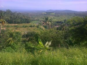 obrázek - Pondok Alam Bukit