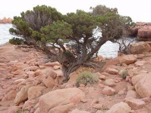 Deiana's Apartment - Cardedu Beachside img99