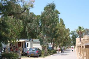 Campings Camping Les Palmiers : photos des chambres