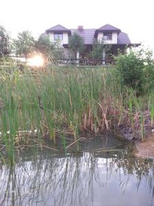 Gospodarstwo agroturystyczne Biebrzanska Goscina