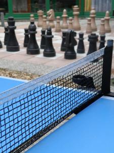 Hotel Sommerhaus am Internats-Campus