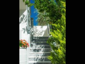 Sunray Apartments Thassos Greece