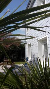 Le Coquillage et la Mer