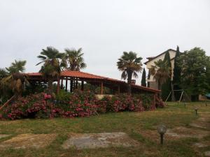 Villa Anna Pieria Greece