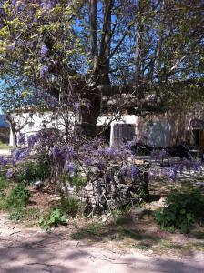 Sejours chez l'habitant Domaine De Camp Joyeux : photos des chambres