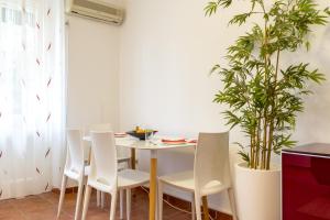 Apartment of Solitude