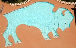 布法罗比尔斯度假酒店 - Searchlight