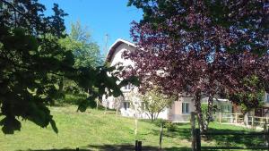 3 stern ferienhaus L'oriere des Bois Ronchamp Frankreich