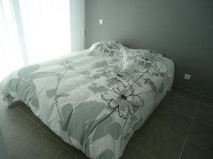 BenessAppart 5km Capbreton