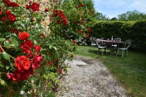 Appartements Du vert & du bon air - Linge maison inclus - Parking Prive Gratuit - Centre ville Bergerac 10mn - Domaine Bellevue Cottage en Perigord : photos des chambres
