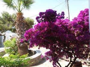 Krotiri Bay Paros Greece