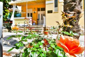 Boutique Apartman Villa Mediteran 