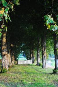 Anfasteröd Gårdsvik - Grindstugan