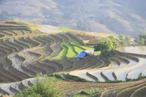 The Mountaineer Hotel - Cốc Lếu