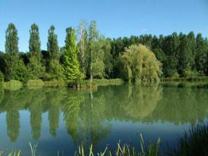 Maisons de vacances Les Gites de l'Etang de Sandanet : photos des chambres