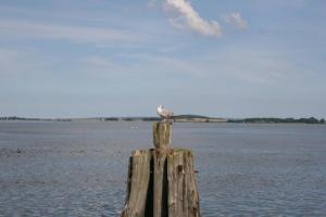 Gaestehaus Celina_ WE32747