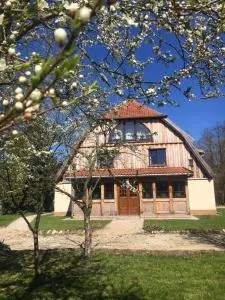 Stara Papiernia Zielony Lasek - Kierwik