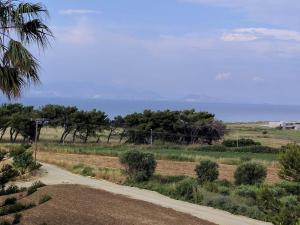 Blue Nest Hotel Kos Greece