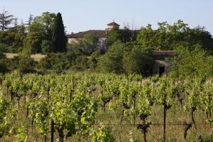 Hotels Domaine du Mas Pigne : photos des chambres