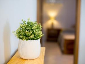 Cosy studio apartment Poreč