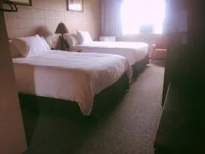 Vegreville Garden Inn - Viking