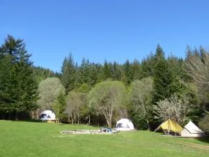 Inver Coille Campsite - 因弗莫里斯顿