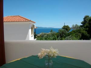 Villa Teozenia Skiathos Greece