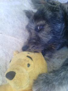 Agriturismo Sa Conca Ruia img20