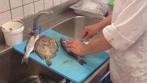 Hotels l'Hotel du port : photos des chambres