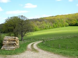 B&B / Chambres d'hotes La Taniere Douce : photos des chambres