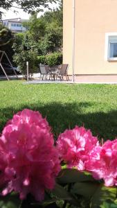 Apartman Fortica 