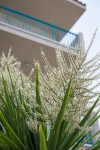 Kyveli Hotel Apartments