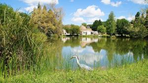 Maisons de vacances Les Gites de l'Etang de Sandanet : photos des chambres