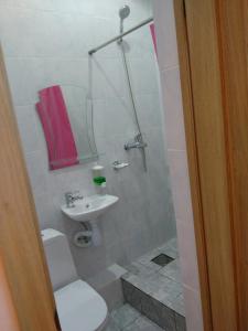 Standard Twin Room room in Zvenigorodskaya