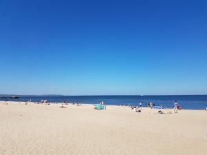 Apartament Wśród Drzew