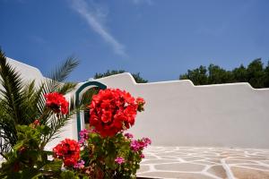 Cavo Plako Villas Lasithi Greece