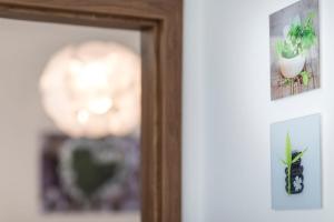 Apartmán Dolní náměstí