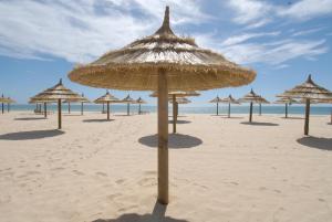 Yadis Hammamet