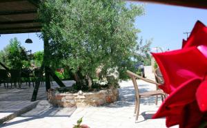 Hani Inn Argolida Greece