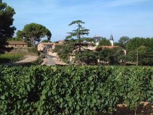 Maisons d'hotes Chateau Saint Martin de Graves : photos des chambres