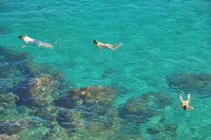 Camping Cala Nova